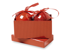 2 boules de Noël dans boîte en