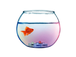 4 lampes led couleurs changeantes