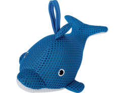 Animaux eponge dauphin