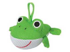 Animaux eponge grenouille