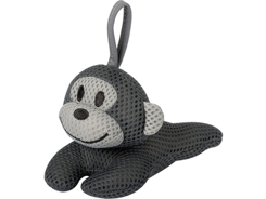 Animaux eponge singe