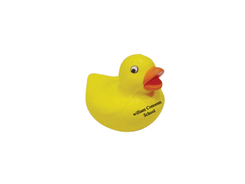 Anti-stress Canard