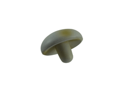 Anti-stress Champignon