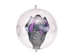 Ballon de plage Harry