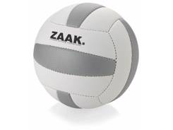 Ballon de volley de plage