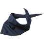 Bandana triangle Au choixpétrole