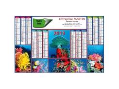 Calendrier bancaire contrecollé NEMO