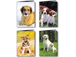 Calendrier de poche FIDELE