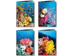 Calendrier de poche PHIL