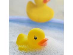 Canard plastique personnalisé