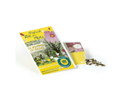 Carte postale graine