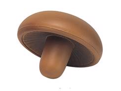 Champignon anti stress