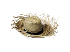 Chapeau australia paille