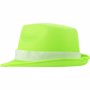 Chapeau en polyester Vertlime