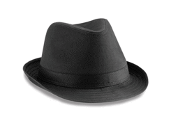 Chapeau fedora - fedora