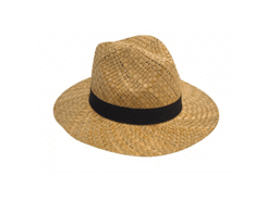 Chapeau paille panama