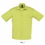 Chemise sol's bristol VertVert pomme