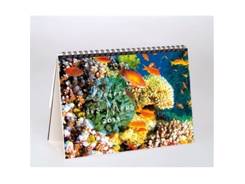 Chevalet spirale BEAUTE DES MERS