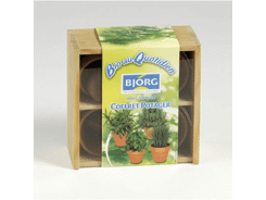 Coffret en bois de pots avec graines