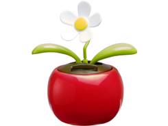 Fleur solaire  personnalisé