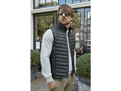 Gilet zepelin