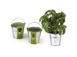 Graine aromatique avec pot en zing