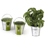 Graine aromatique avec pot en zing Au choixNaturel