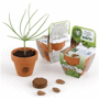 Graine avec pot Au choixNaturel