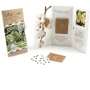 Graine dans carte pliable Au choixNaturel