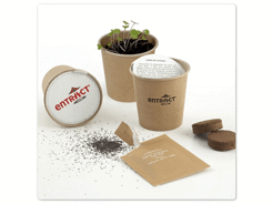 Graine de fleurs avec pots