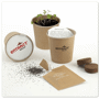 Graine de fleurs avec pots Au choixNaturel