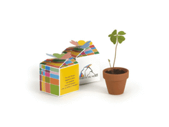 Graine de trèfle à 4 feuilles avec pot
