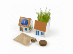 Graine en forme de maison