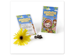 Graine marguerite jaune