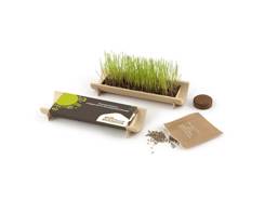 Jardinière bambou graines