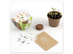 Kit plantation graine biologique