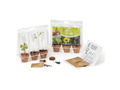 Lot de pots avec graine sous blister