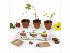 Lot de pots avec graines