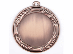 Médaille bronze à logoter