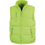 Micro polar bodywarmer bodywarmer micro-fibre doub Au choixLime