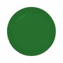 Mini frisbee en plastique VertVert