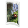 P.-photos concave vertical- 130x180 mm Transparenttransparent