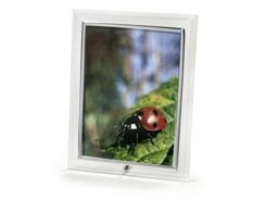 P.-photos verre vertical - 100x150 mm