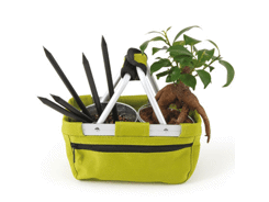 PANIER CADEAU BONSAI