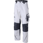 Pantalon de sécurité homme Au choixblanc/carbone