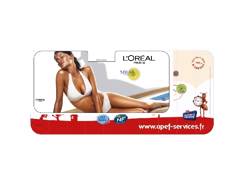 Pare soleil en carton MAXI