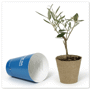 Plant d'arbre Au choixNaturel