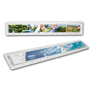 Règle promo-lineal 320 x 54 mm r°v° Au choixPlastique