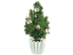 Sapin Etoiles douces 20-30 cm, avec emballage indi