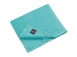 Serviette d'invité brodée